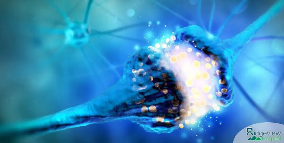 GABA neurotransmitter and alcohol