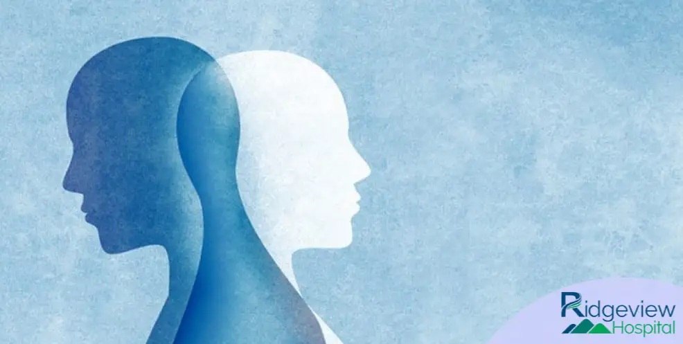 two faces abstract infographic